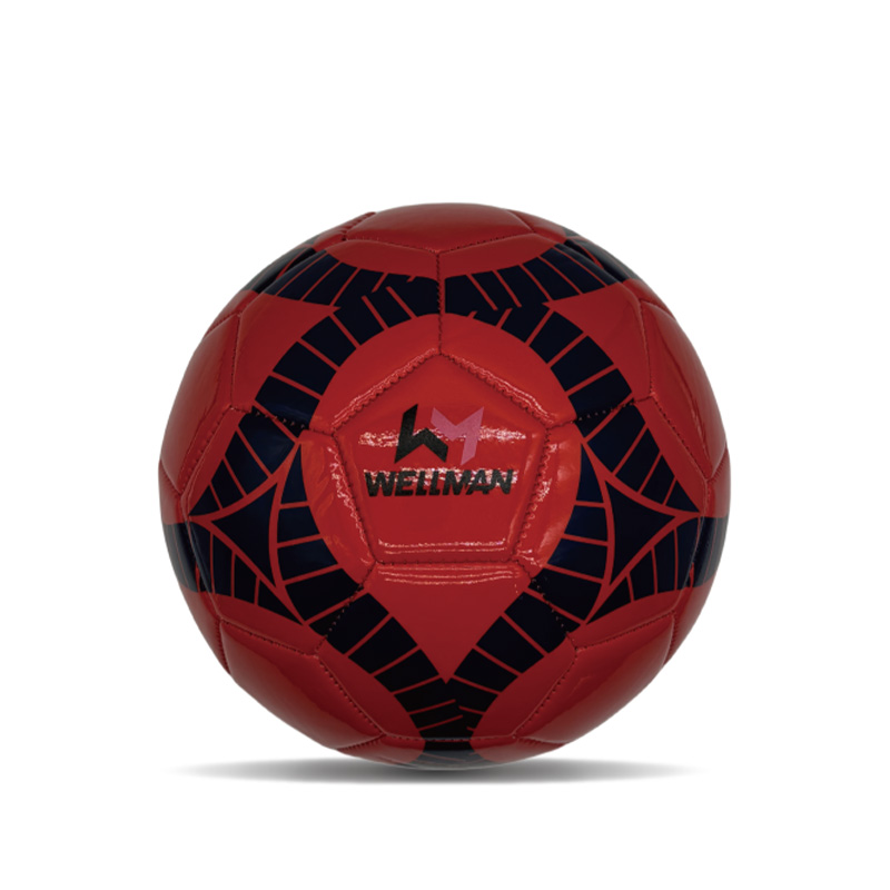 TRAPALITS TRAVAILLEMENT PVC SOCCER GOFT PVC TRACLOR